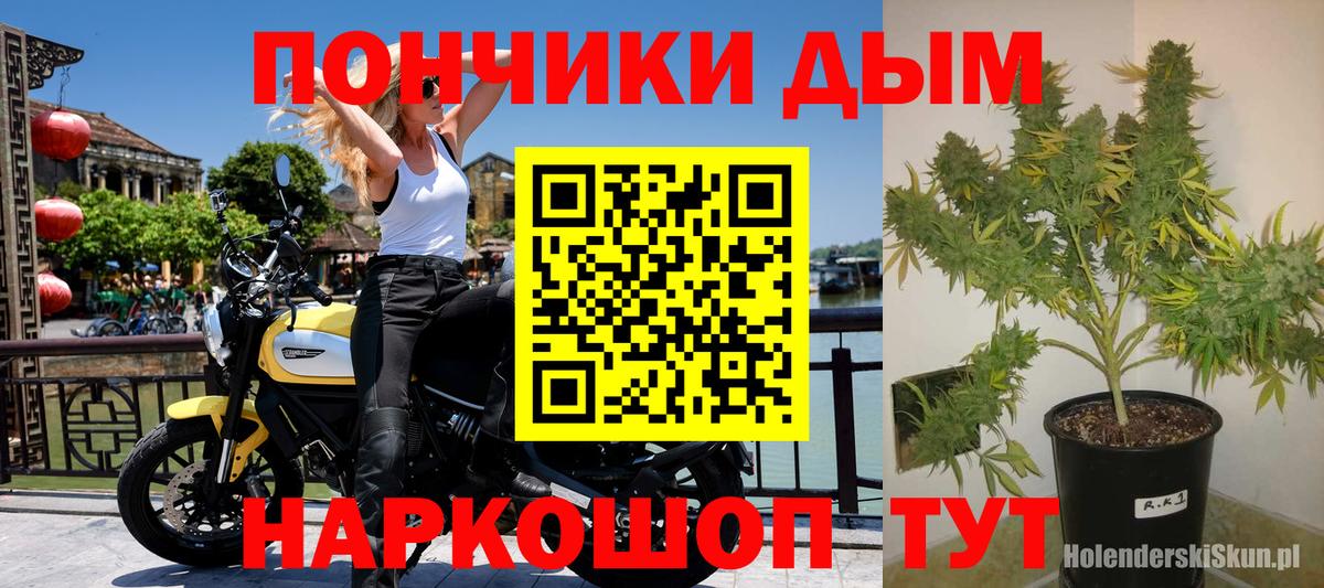 Марихуана Bruce Banner Александров